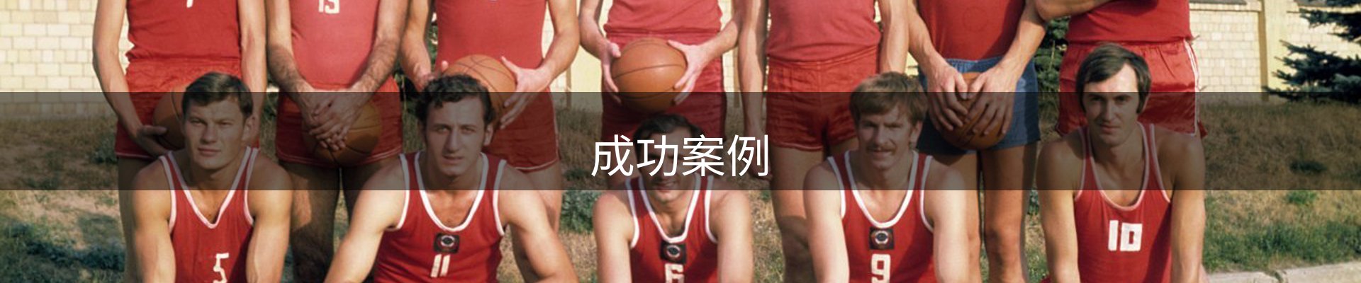 成功案例